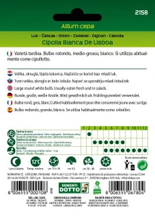 CIPOLLA BIANCA LISBOA DOTTO SEMENTI