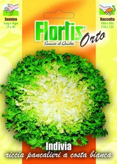 FLORTIS | INDIVIA RICCIA PANCALIERI