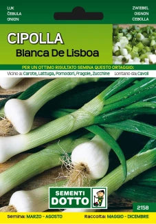 CIPOLLA BIANCA LISBOA DOTTO SEMENTI