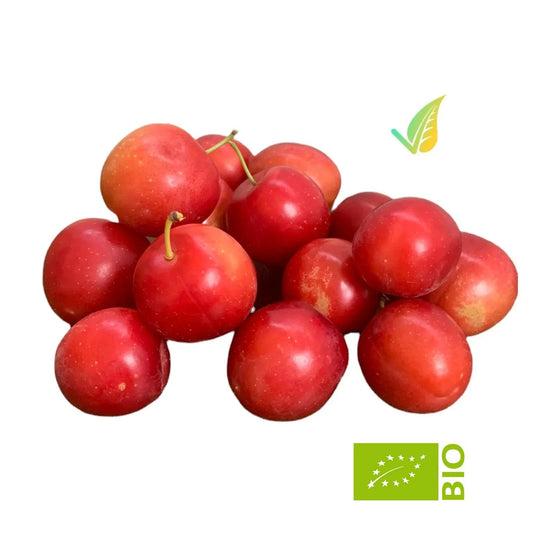 CILIEGIE SUSINE BIO | ORIGINE ITALIA